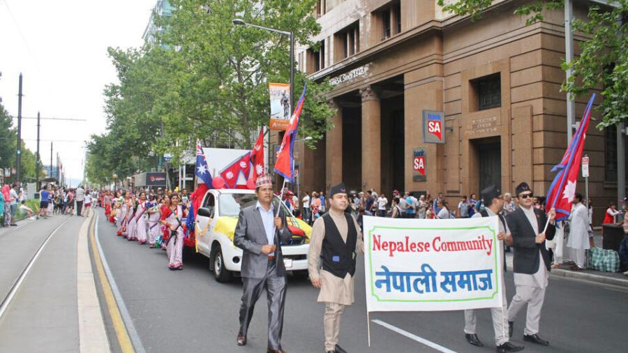 naplese people in austrailia